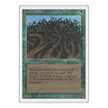 Wall of Wood Revised Edition (3ED) - (, Heavily Played)