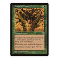 Armor of Thorns Mirage (MIR) - (, Moderately Played)