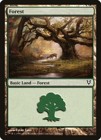 Forest (244) Avacyn Restored (AVR) - (#244, Land) (, Near Mint)