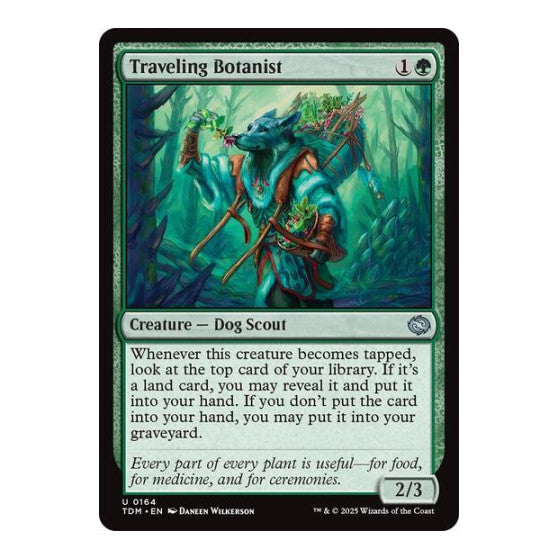 Traveling Botanist Tarkir: Dragonstorm (TDM) - (, Near Mint)
