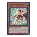 Serene Psychic Girl Duelist's Advance (DUAD) - (1st Edition, Near Mint)