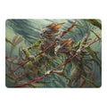 Champions of the Shoal Art Card Art Series: Lorwyn Eclipsed (ASECL) - (, Near Mint)
