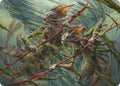Champions of the Shoal Art Card Art Series: Lorwyn Eclipsed (ASECL) - (#6, Special) (, Near Mint)