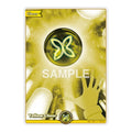 Yellow Cheer S Extra Booster: Summer hologram (HEB01) - (Foil, Near Mint)