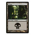 Swamp (83) Duel Decks: Izzet vs. Golgari (DDJ) - (, Moderately Played)