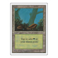 Forest (A) Unlimited Edition (2ED) - (, Moderately Played)