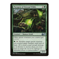 Paragon of Eternal Wilds Magic 2015 (M15) (M15) - (, Lightly Played)